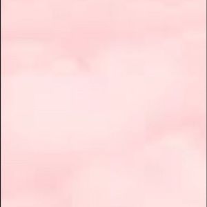 Meet your Posher, Lizzy